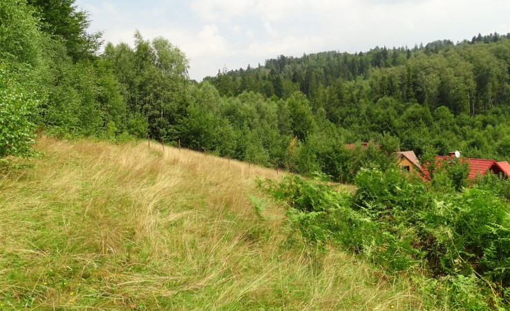 działka na sprzedaż - Wisła